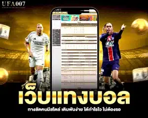 เว็บแทงบอล